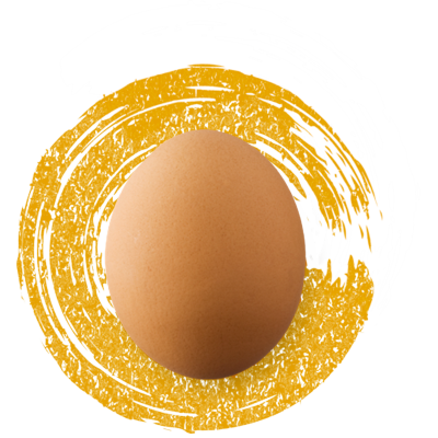 egg-images-x312-3